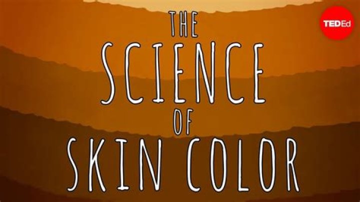 Bill Nye Breaks Down Racism & ‘Science Of Skin Color’ In TikTok Video – Hollywood Life
