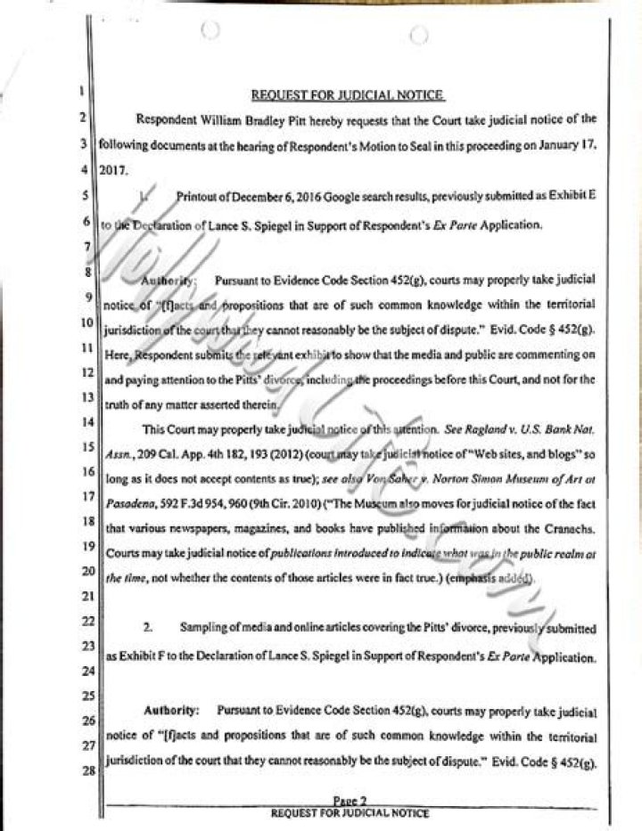 Brad Pitt’s Legal Custody Documents — PICS