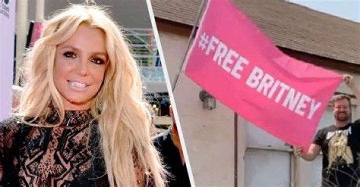 Britney Spears Shares A ‘Free Britney’ Flag Photo After Her Request To Push Up Trial Is Denied