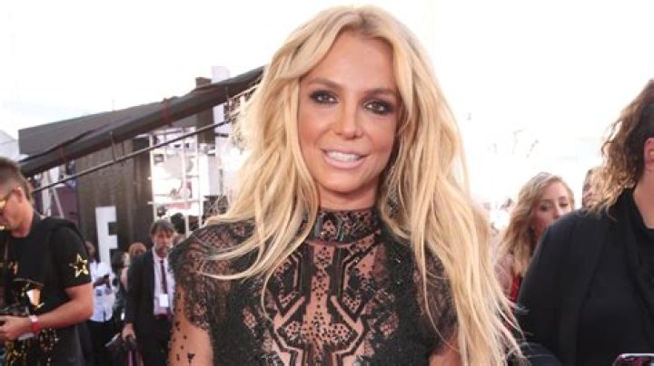 Britney Spears Wears A Snakeskin Catsuit In New Pics – Hollywood Life