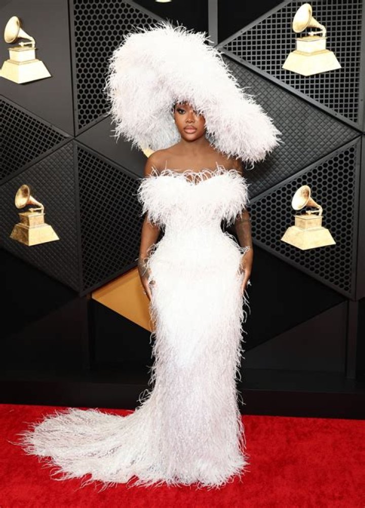Grammy Awards Red Carpet 2014 — 2014 Grammys Fashion