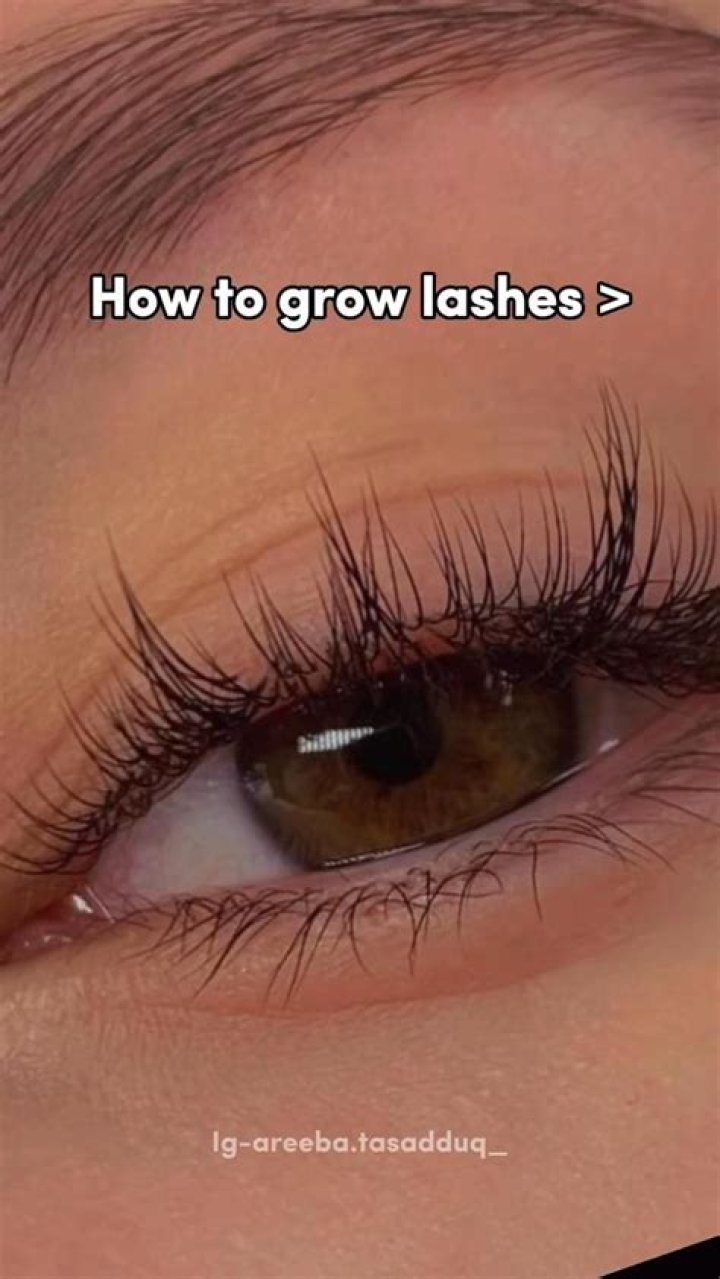 Here’s How To Get Longer And Fuller Eyelashes, According To TikTok