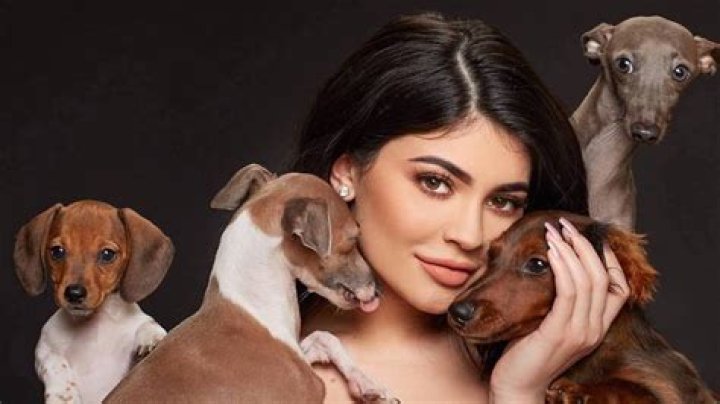 Kardashian Pets Over The Years — SEE PICS