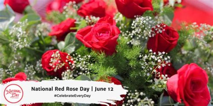 National Rosé Day — Pics