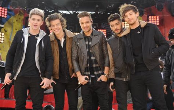 One Direction Fans Believe Harry Styles & Niall Horan Reunited On Hike – Hollywood Life