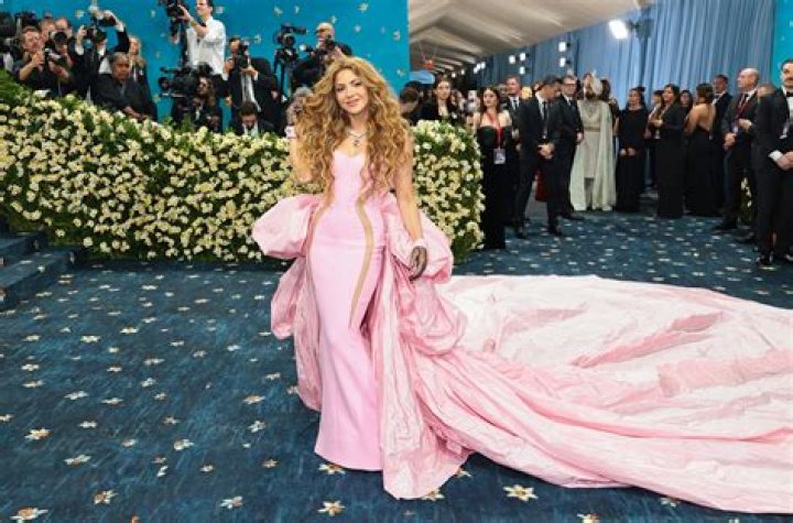 Paris Hilton’s Met Gala 2023 Dress: Photo – Hollywood Life