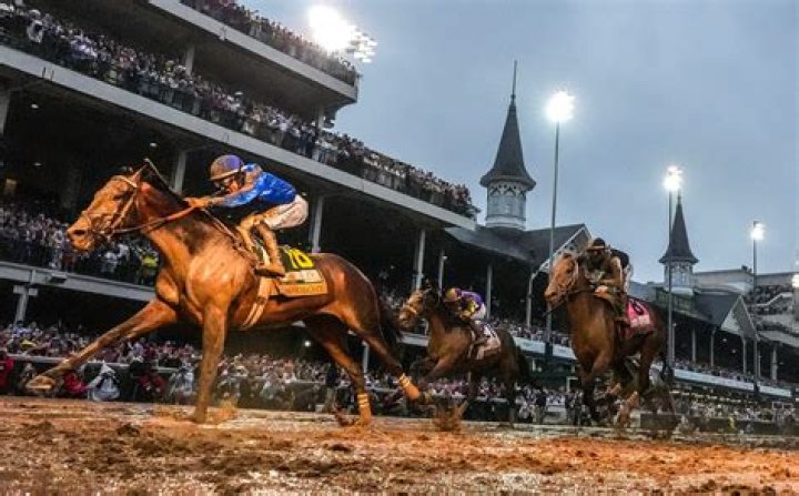 Preakness Horses 2017 — PICS