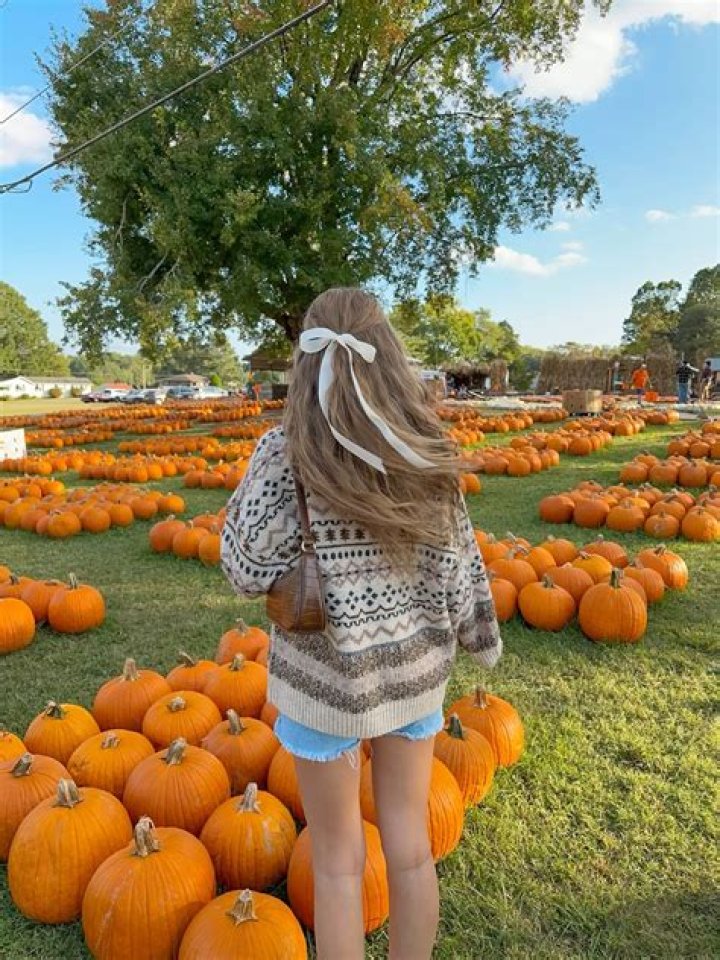 Sexy Celebs At Pumpkin Patches