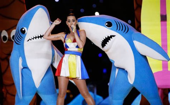 Super Bowl 2015 Halftime Show — Katy Perry & More