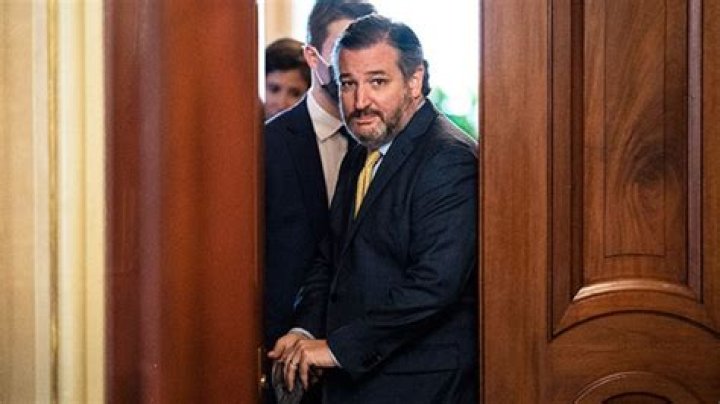 Ted Cruz Reportedly Left Dog Snowflake Home In ‘Freezing’ Home While Family Went To Cancun