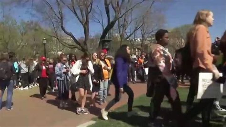The National School Walkout — PICS