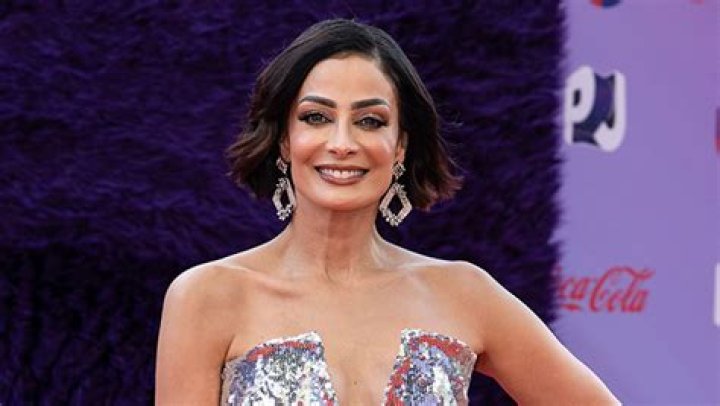 Who Is Dayanara Torres? 5 Things to Know About the Miss Universe Alum – Hollywood Life